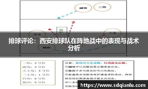 雷竞技官方网站