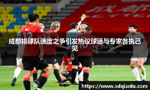 成都排球队速度之争引发热议球迷与专家各执己见