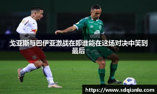 雷竞技raybet官方网站