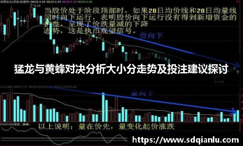 雷竞技官方网站
