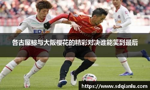 雷竞技官方网站